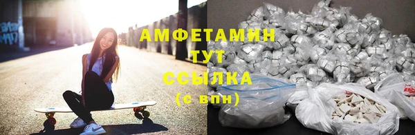 гидра Богородицк