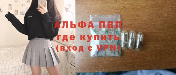 гидра Богородицк