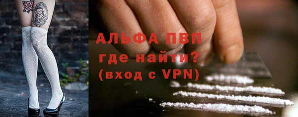 гидра Богородицк