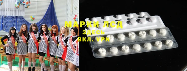 гидра Богородицк