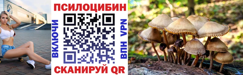 маркетплейс телеграм  Кемь  Галлюциногенные грибы мицелий 